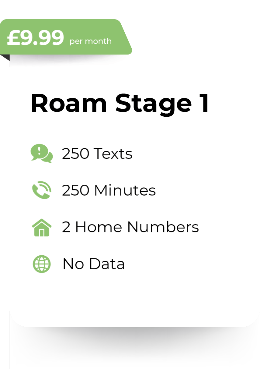 Roam Stage 1