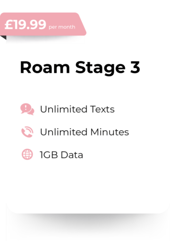 Roam Stage 3