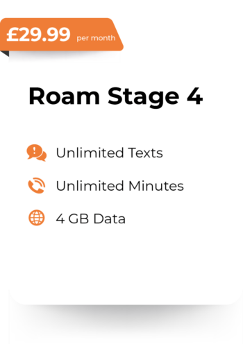 Roam Stage 4