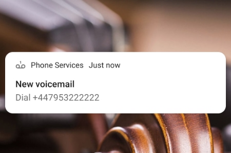 Don't allow bullying via VM