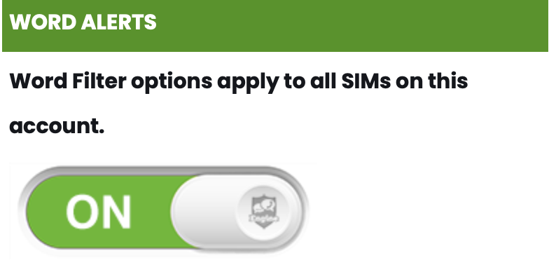 Child Text Word Alerts