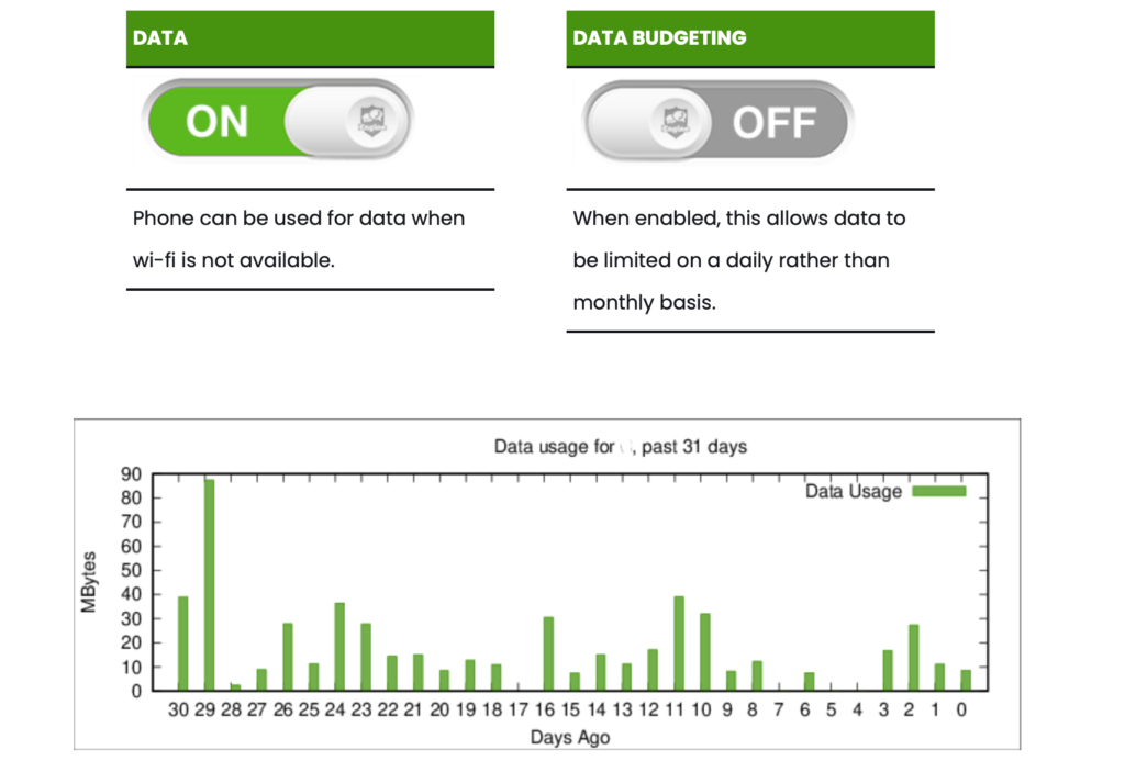 Controlling a child's data usage