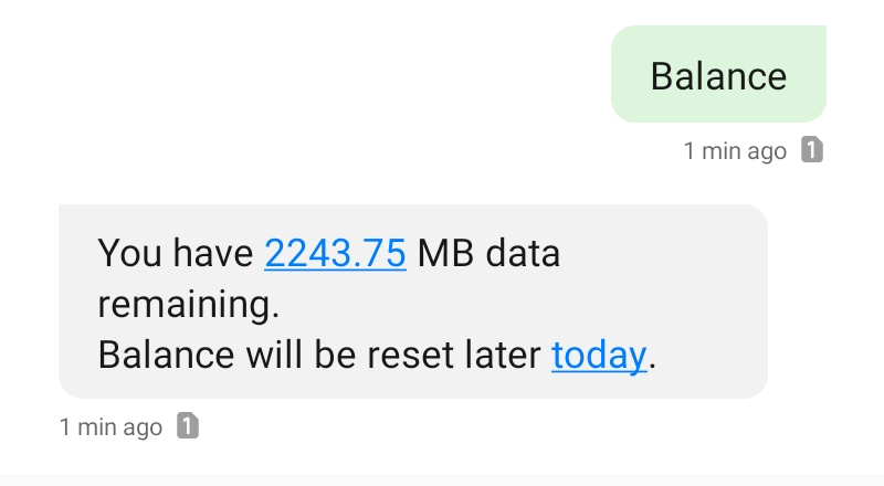 Checking a child's data balance