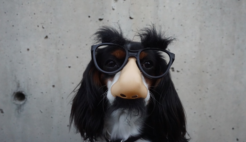 Disguises can be just as suspicious